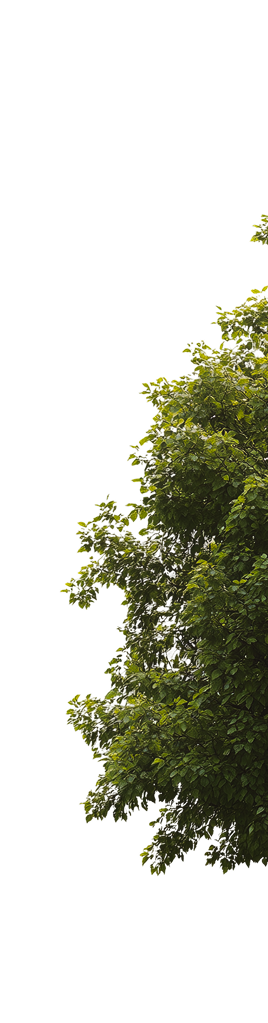 parallax-tree