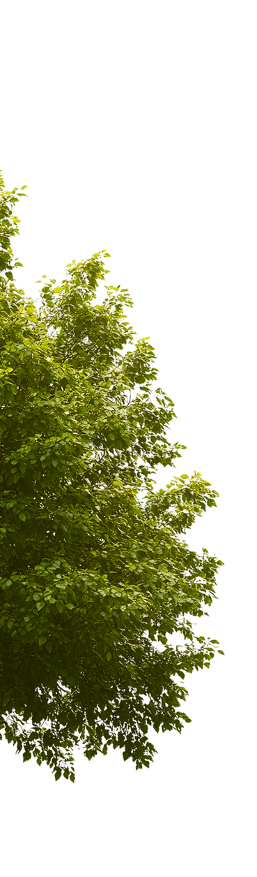 parallax-tree