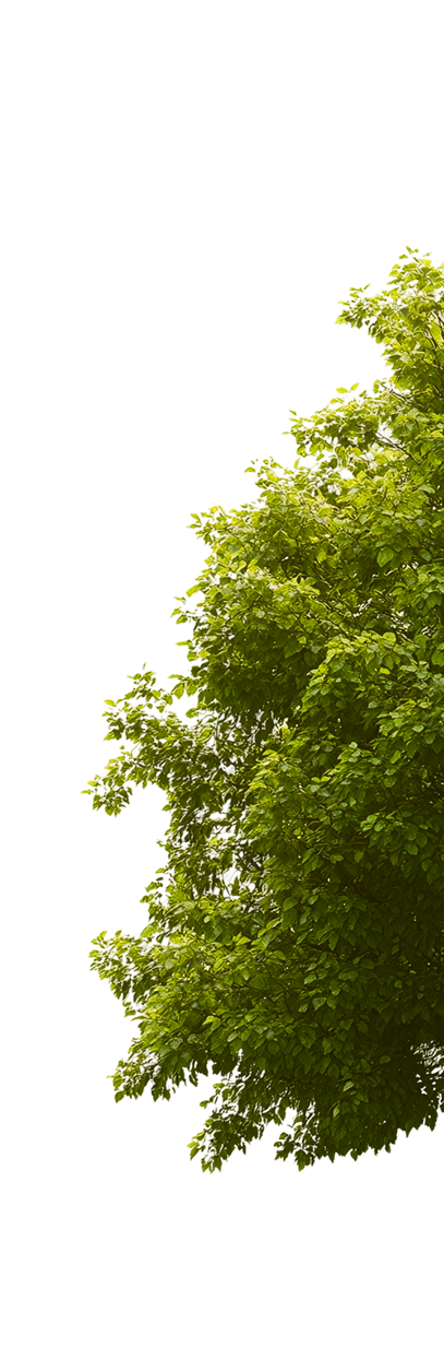 parallax-tree